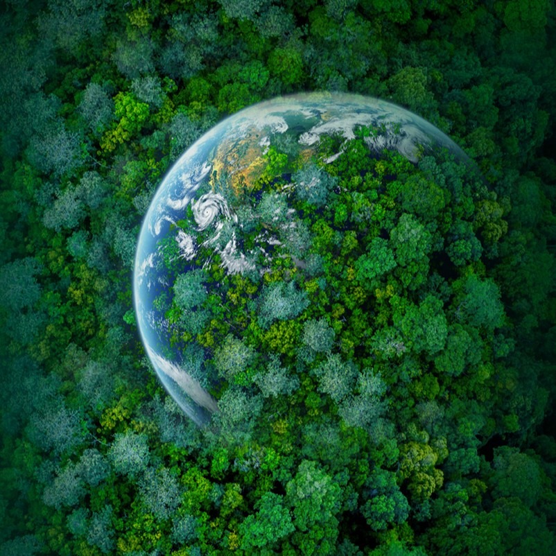 Climate venture